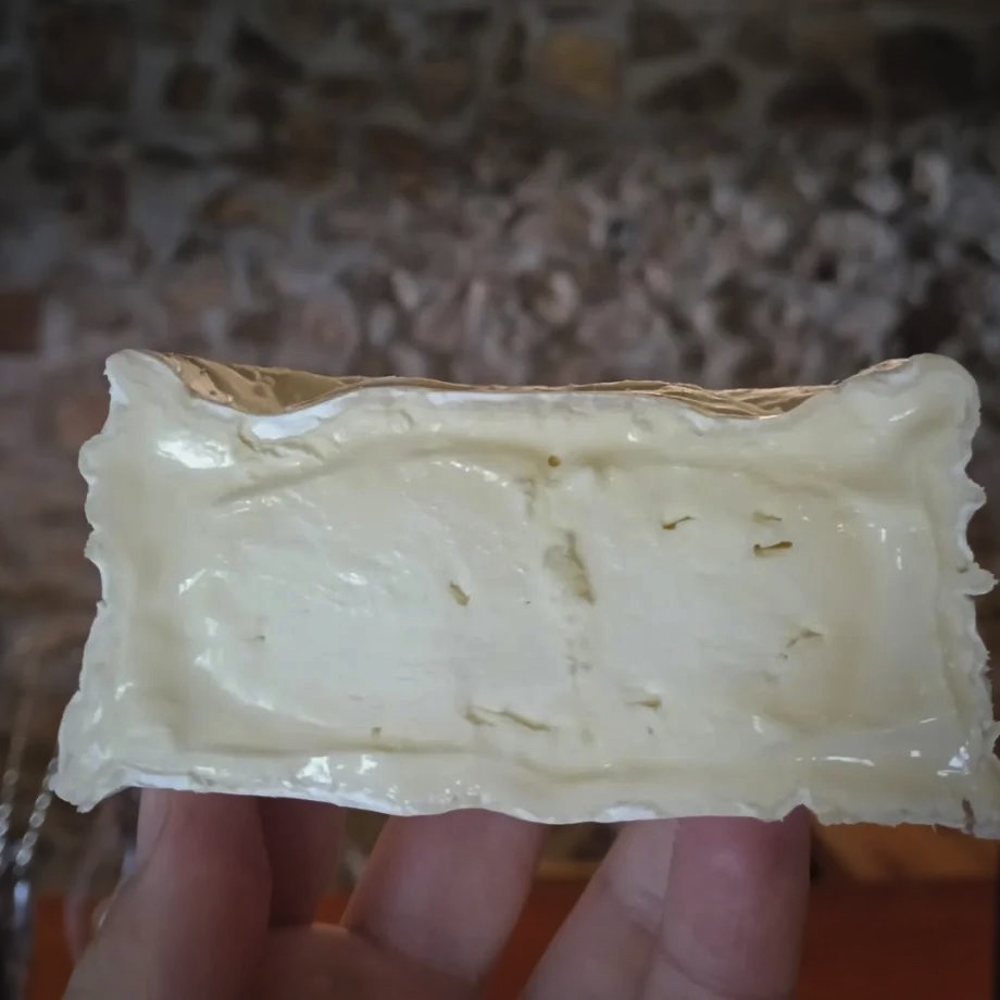 Media pieza de queso cremoso de corteza blanca sostenida en la mano ante el muro de piedra